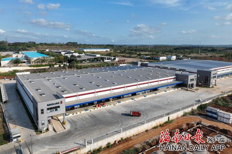 澄迈网站建设